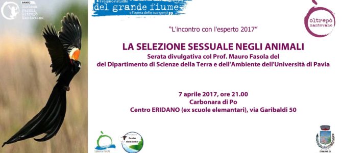 LA SELEZIONE SESSUALE NEGLI ANIMALI”, Serata col Prof. Mauro Fasola del Dipartimento di Scienze della Terra e dell’Ambiente dell’Università di Pavia,