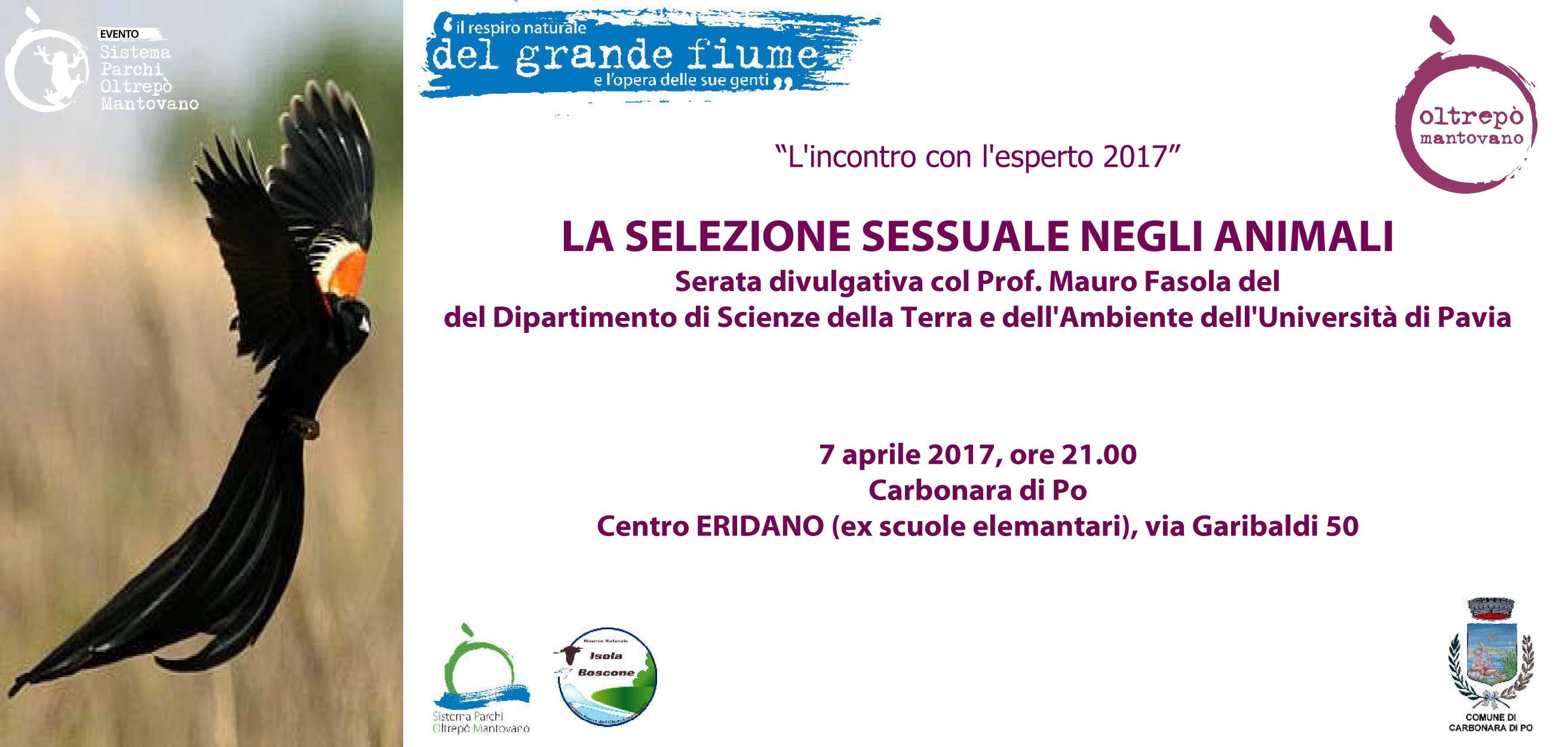 LA SELEZIONE SESSUALE NEGLI ANIMALI", Serata col Prof. Mauro Fasola del Dipartimento di Scienze della Terra e dell'Ambiente dell'Università di Pavia, che si terrà il prossimo 7 aprile alle ore 21 a Carbonara di Po presso il Centro ERIDANO (ex scuole elementari).